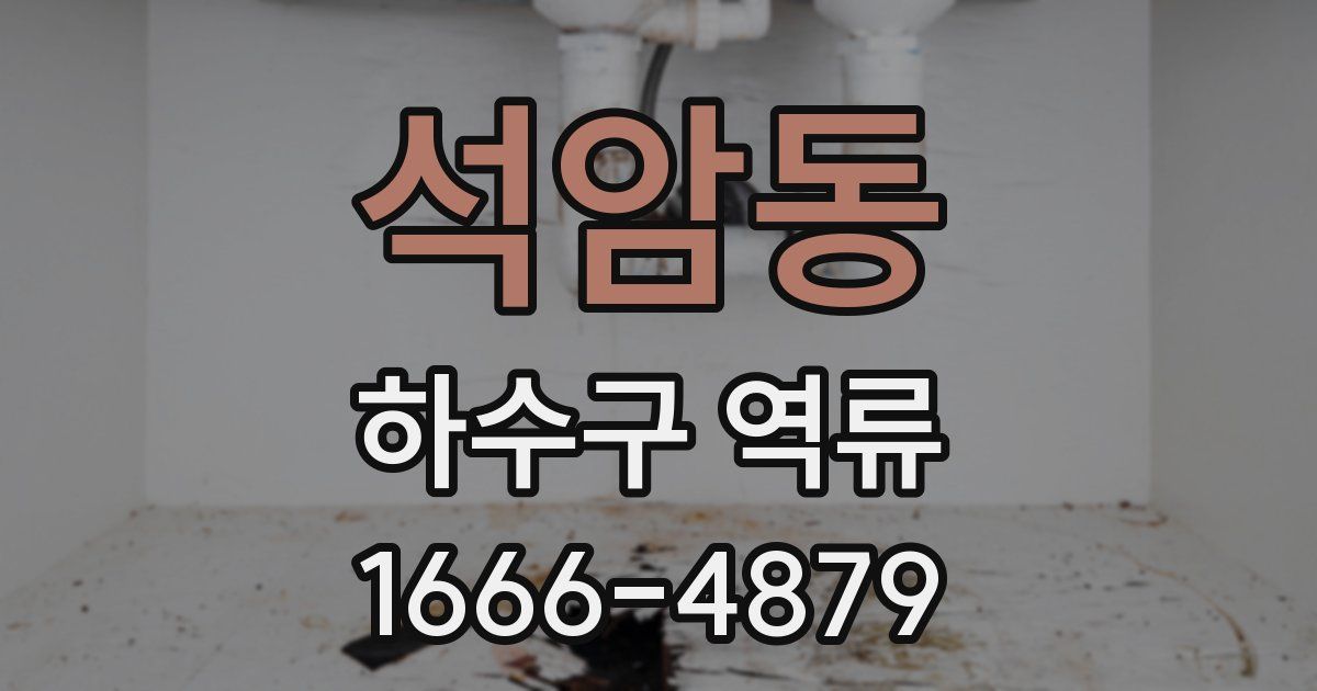 석암동 하수구 역류