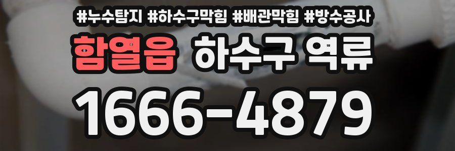 함열읍 하수구 역류
