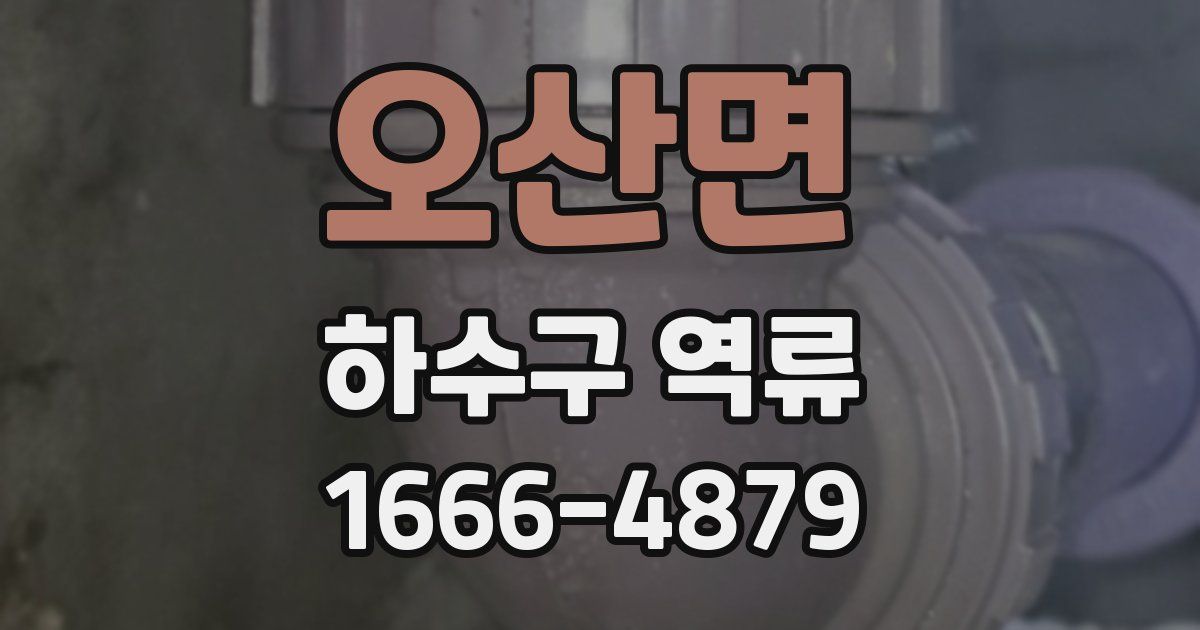 오산면 하수구 역류