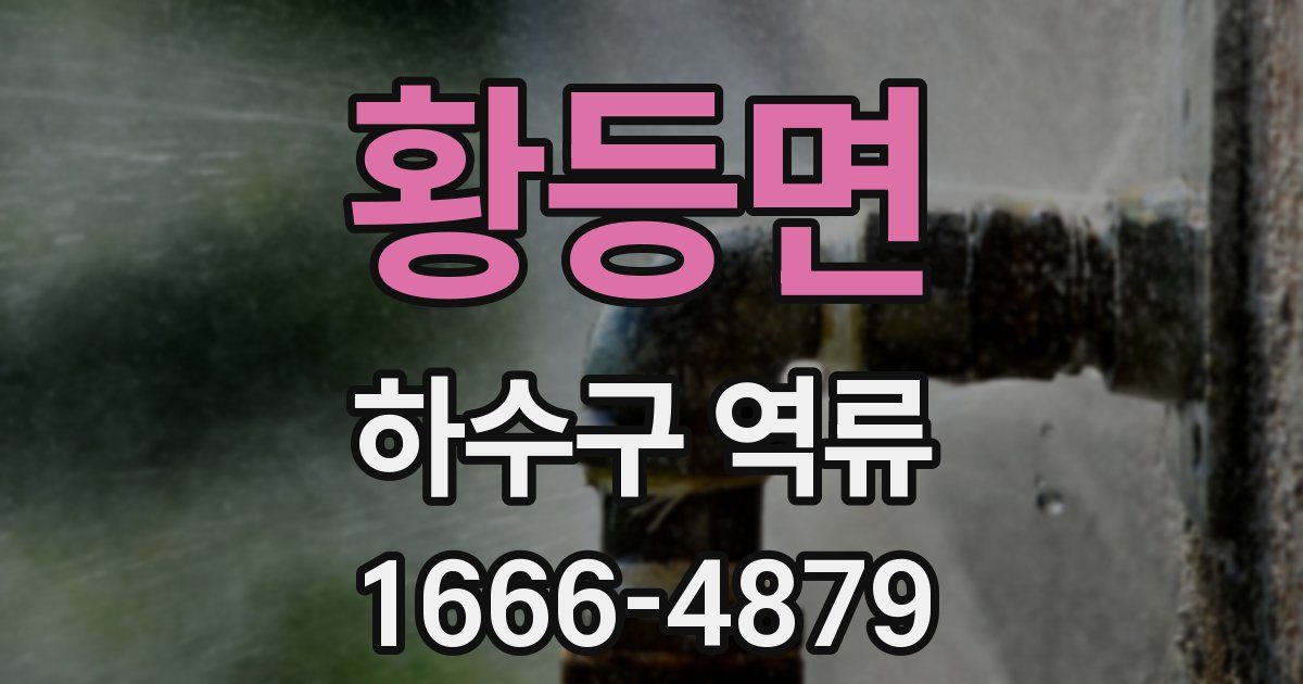 황등면 하수구 역류