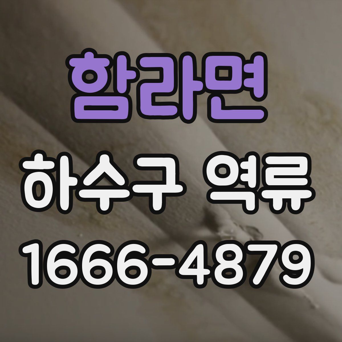 함라면 하수구 역류
