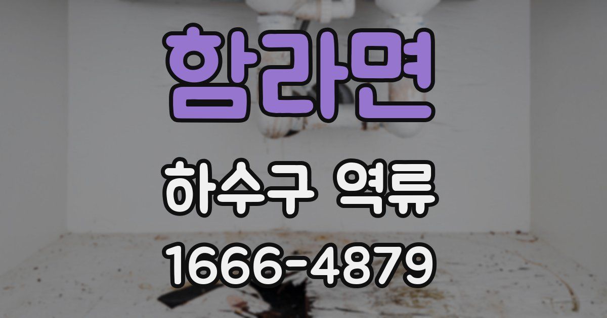 함라면 하수구 역류