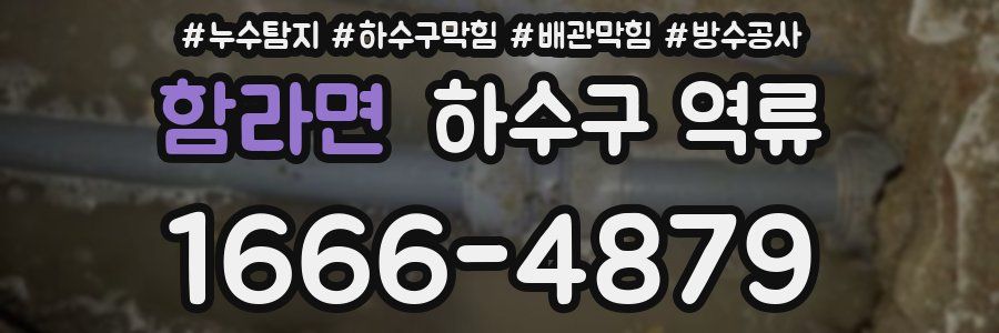 함라면 하수구 역류