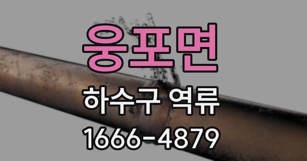 웅포면 하수구 역류