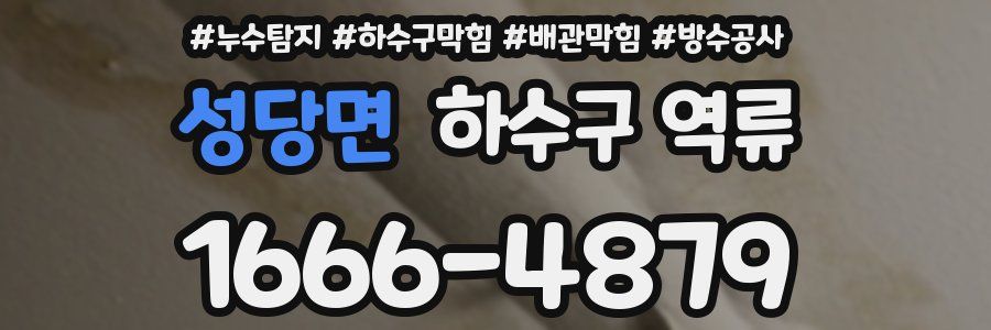 성당면 하수구 역류