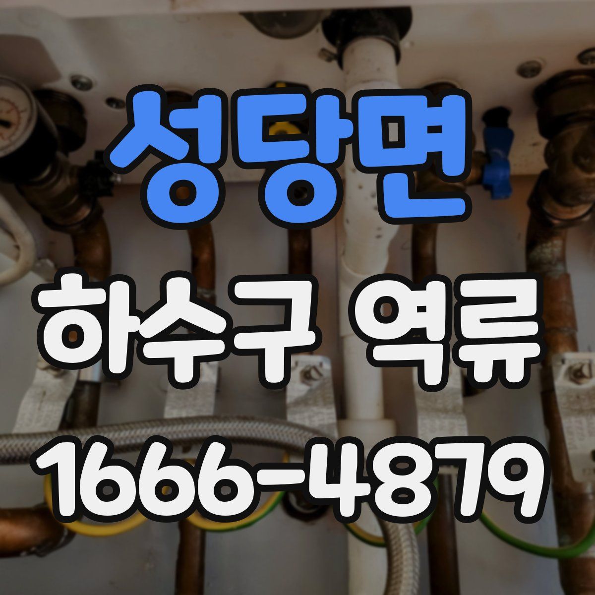 성당면 하수구 역류