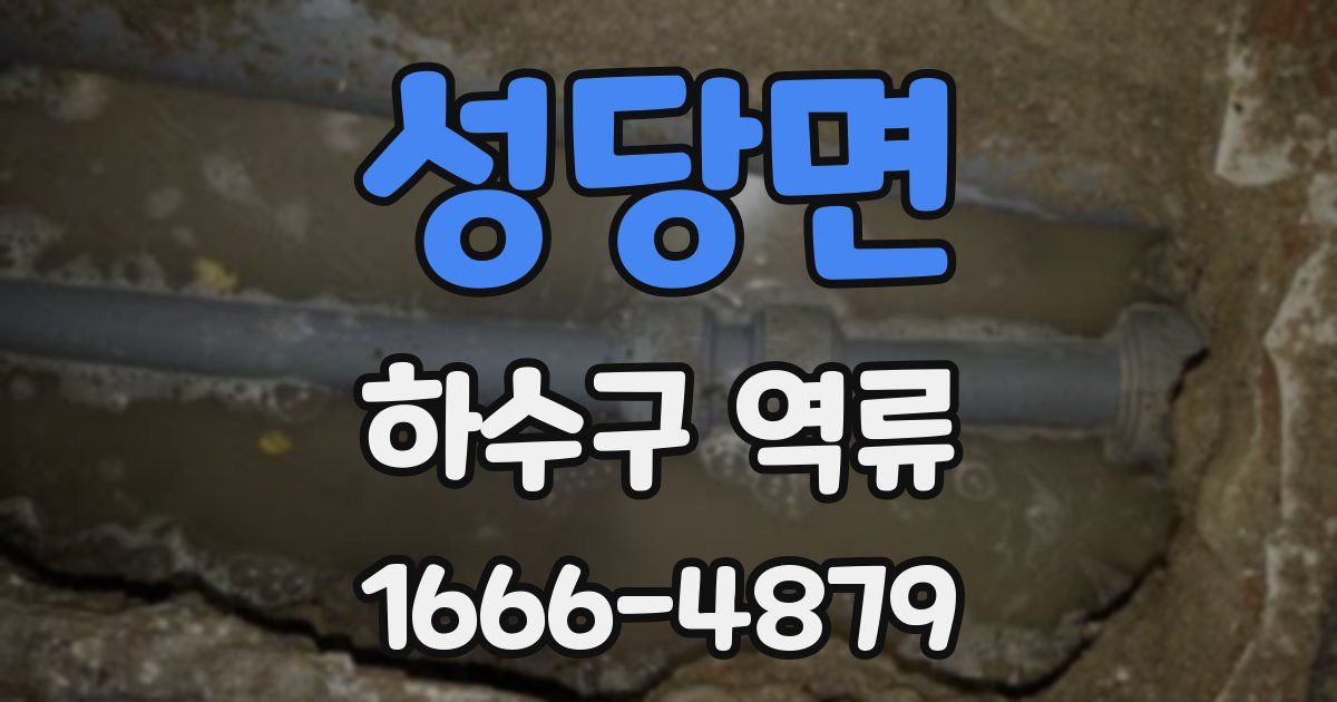 성당면 하수구 역류