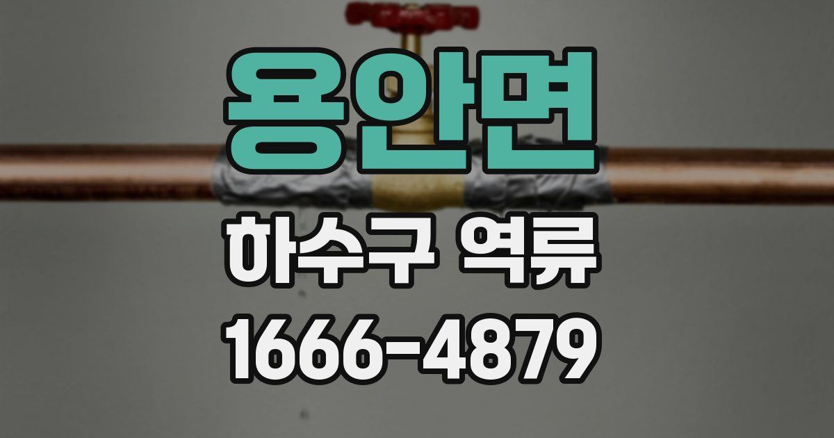 용안면 하수구 역류