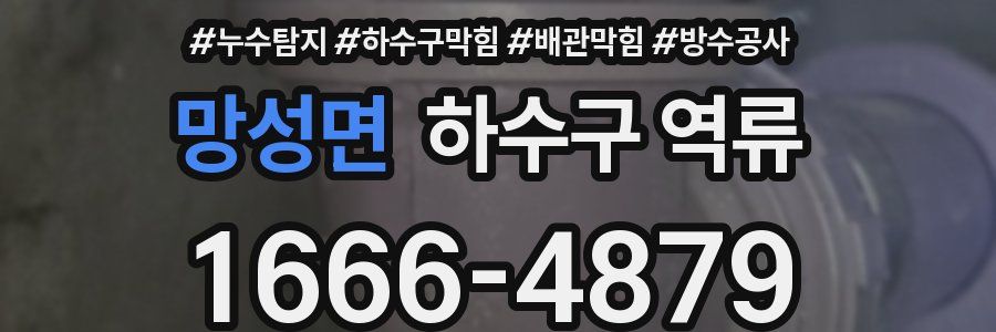 망성면 하수구 역류