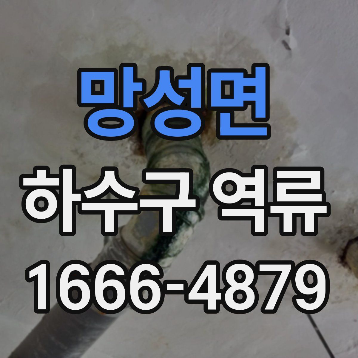 망성면 하수구 역류