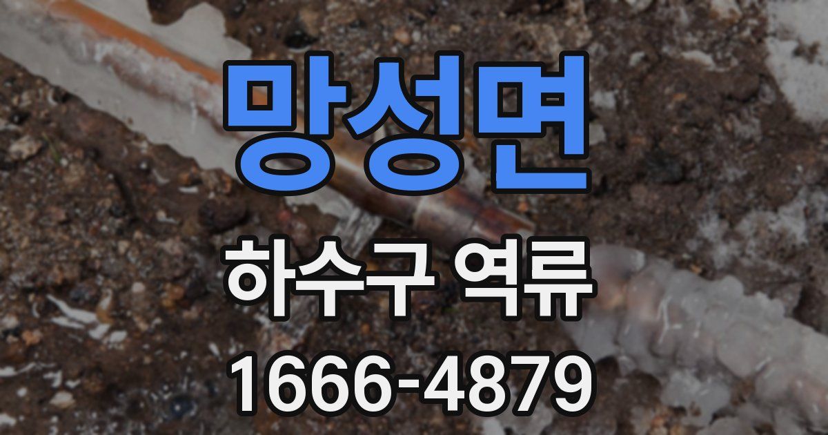 망성면 하수구 역류