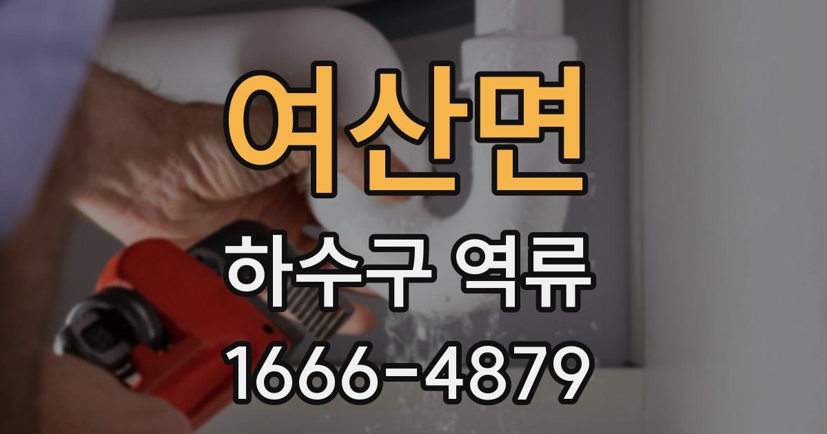 여산면 하수구 역류