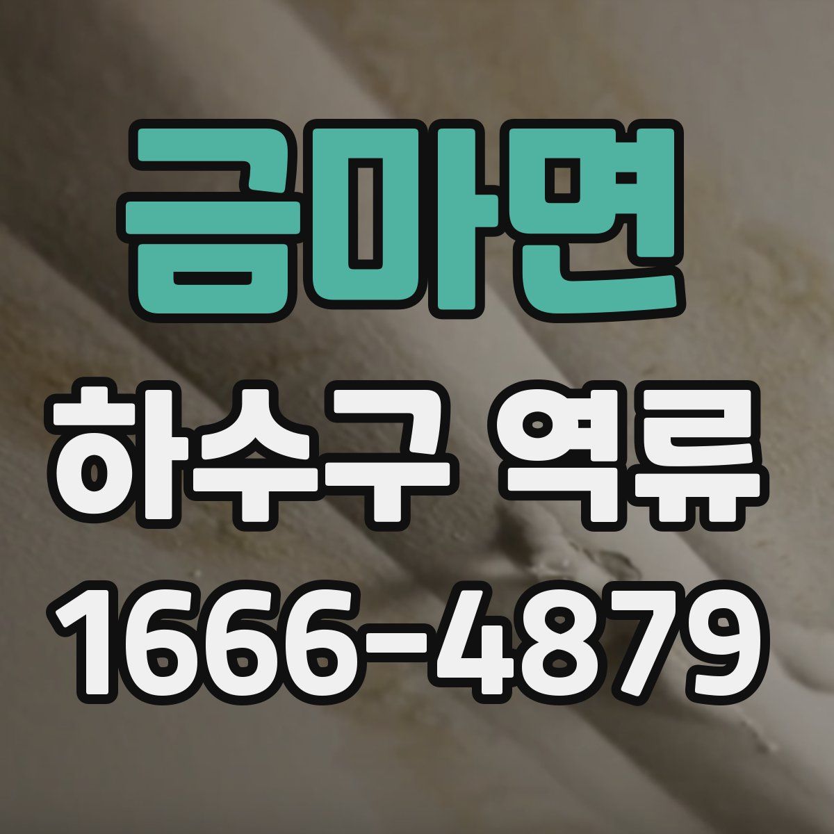금마면 하수구 역류