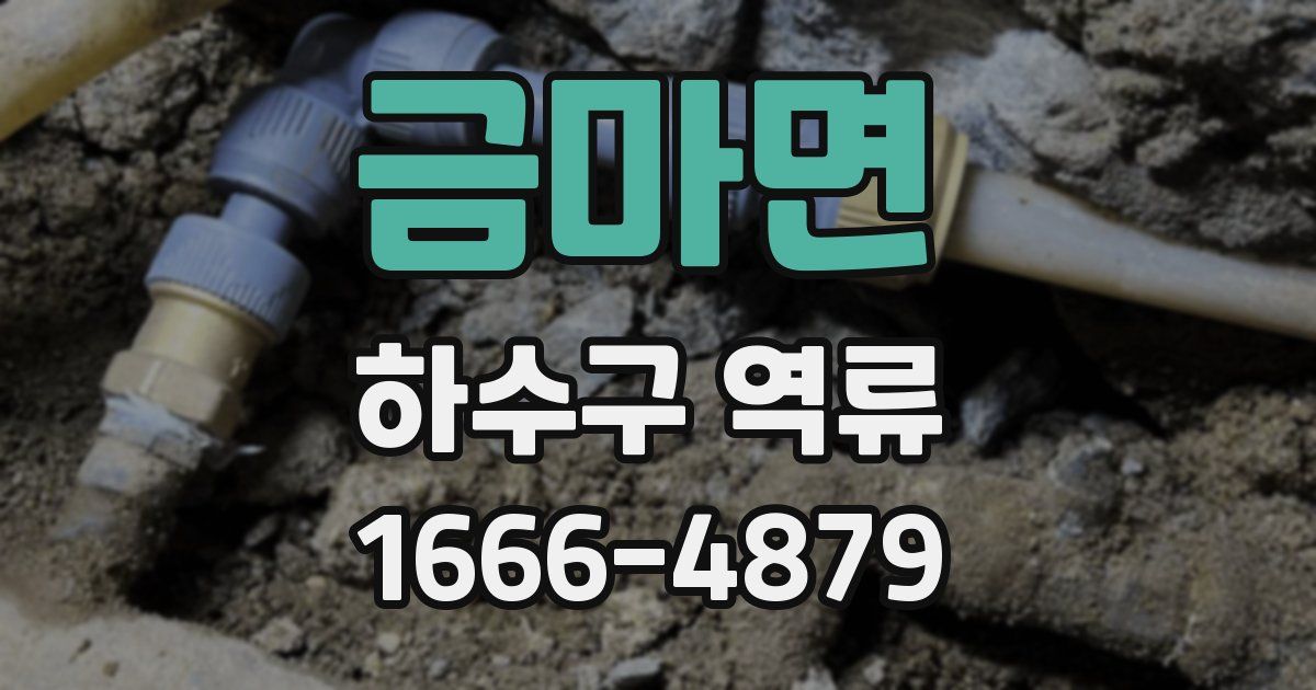 금마면 하수구 역류