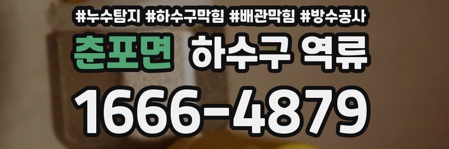 춘포면 하수구 역류