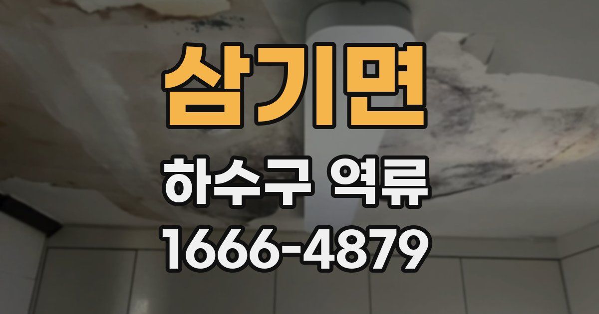 삼기면 하수구 역류