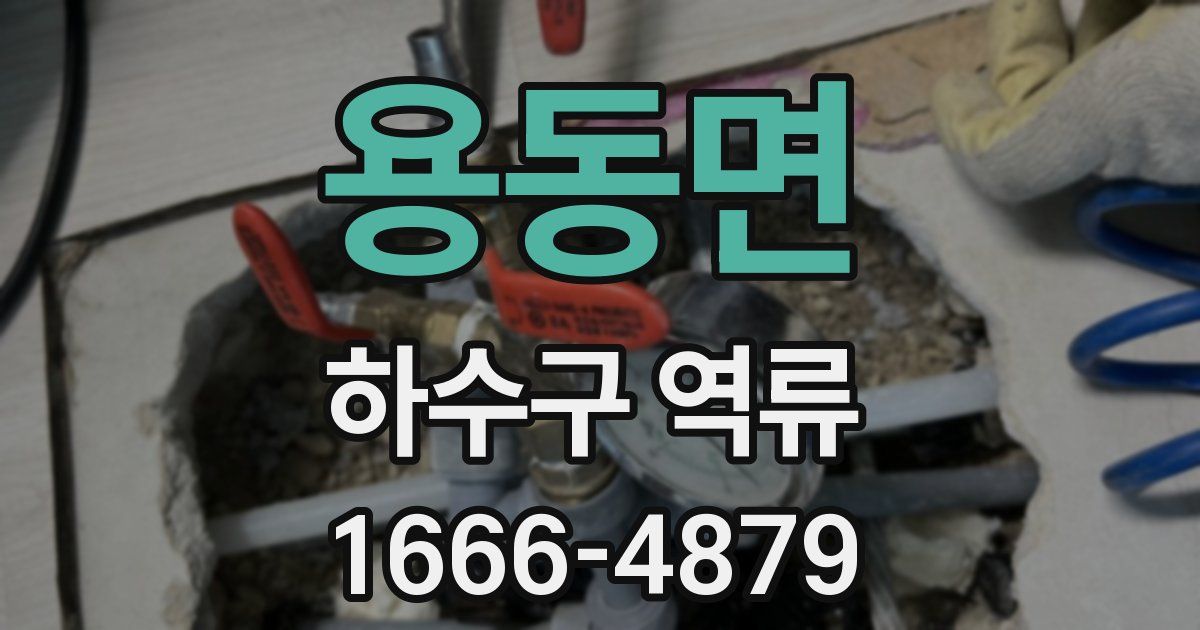용동면 하수구 역류