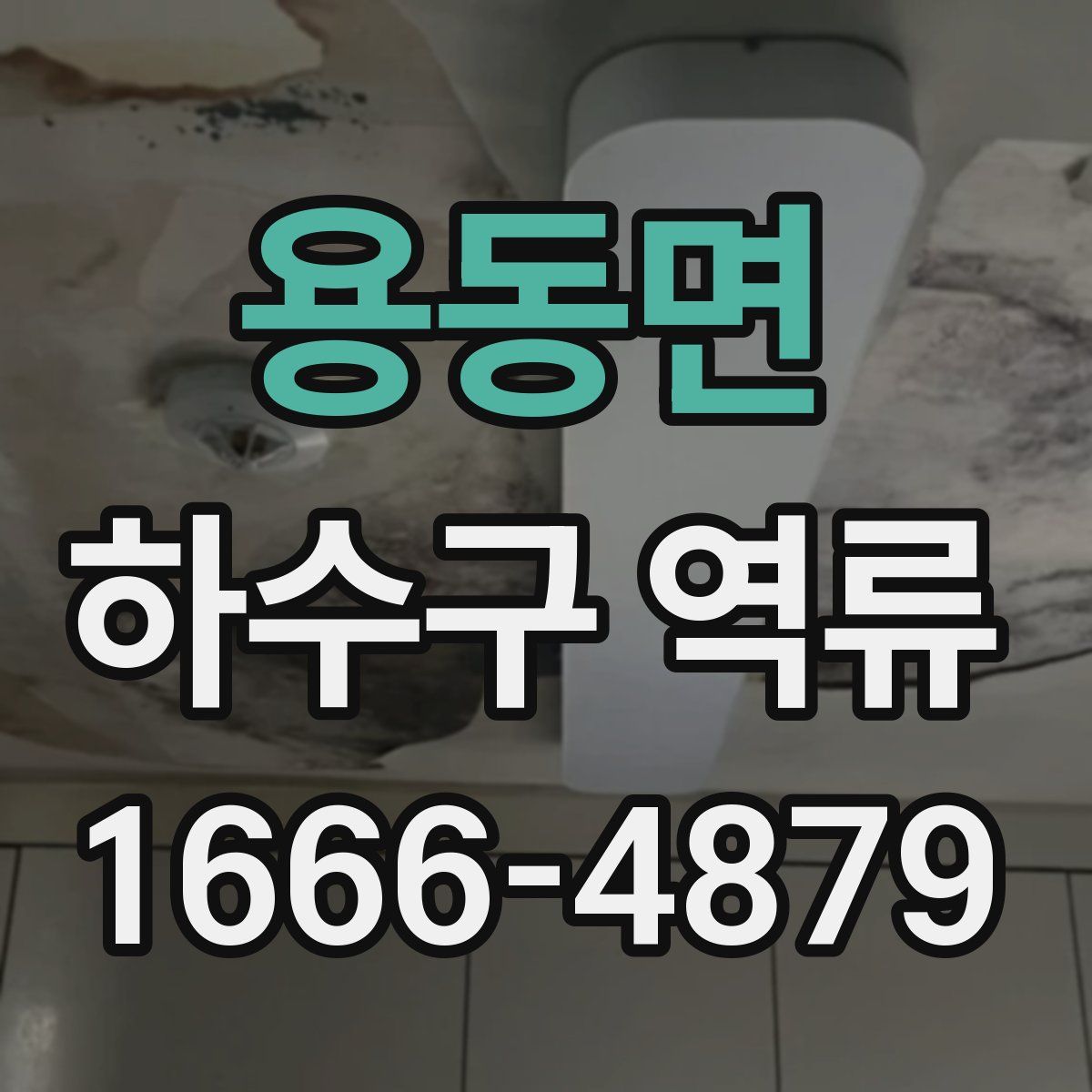 용동면 하수구 역류