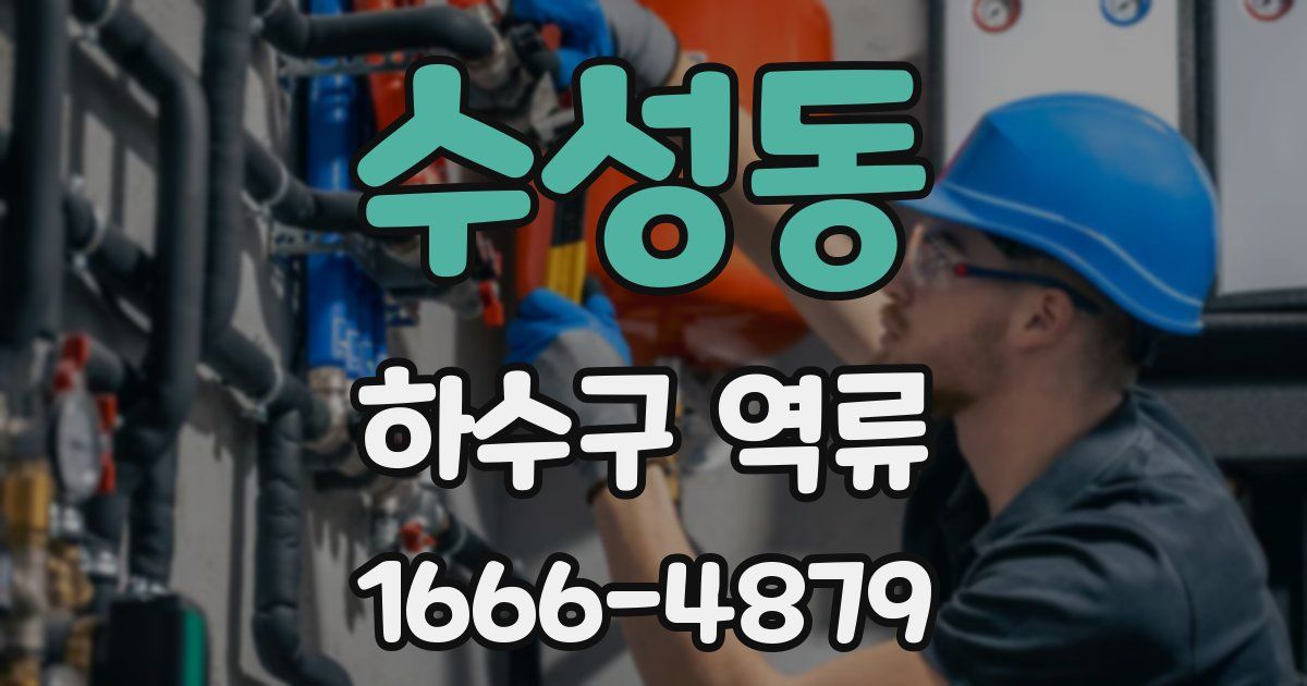 수성동 하수구 역류