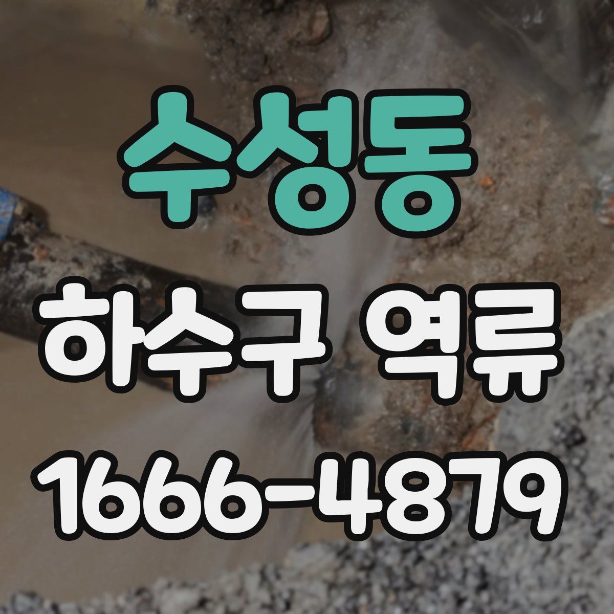수성동 하수구 역류