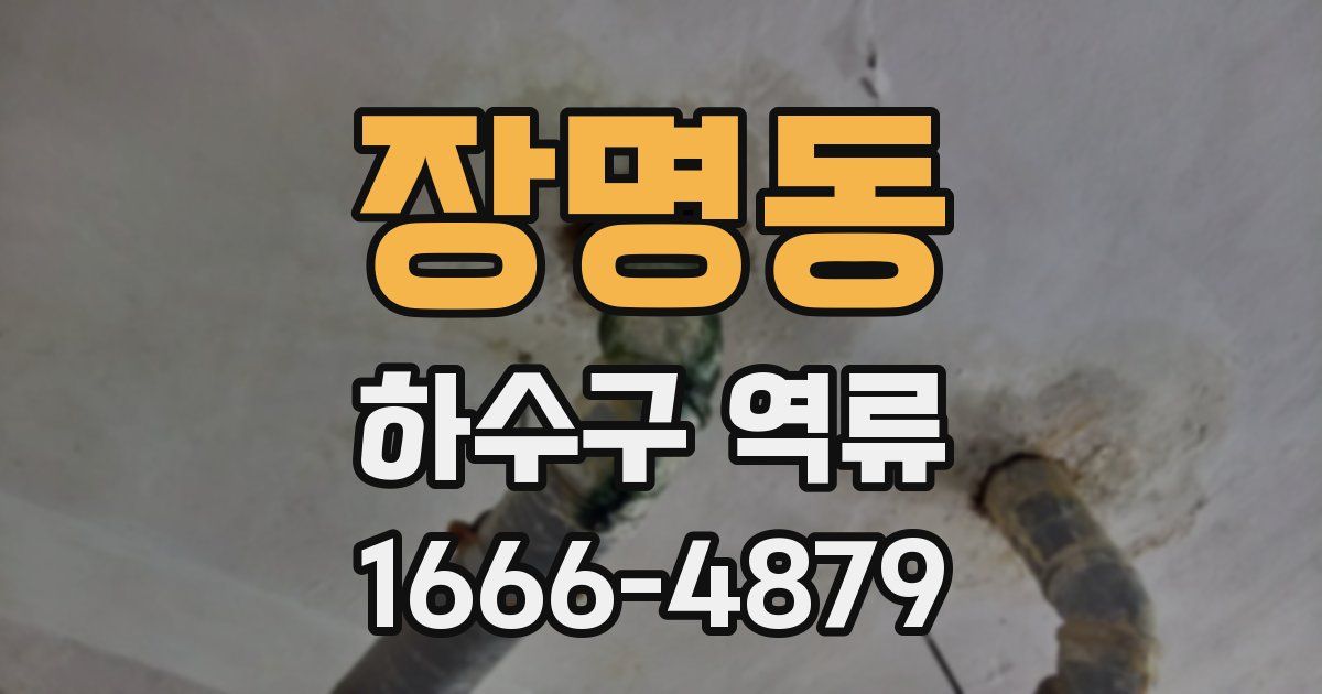 장명동 하수구 역류