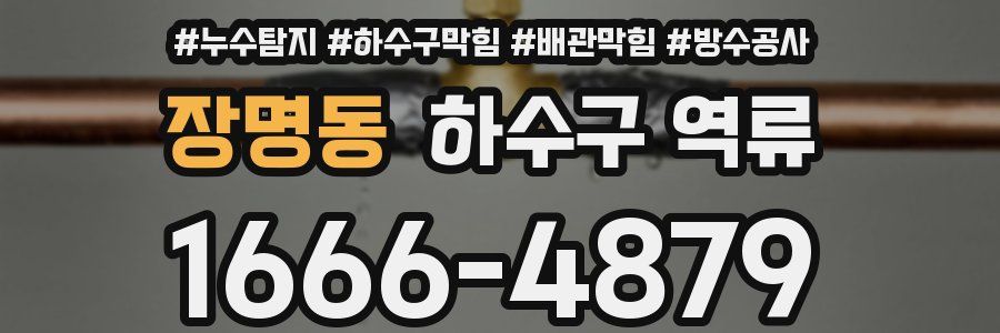 장명동 하수구 역류