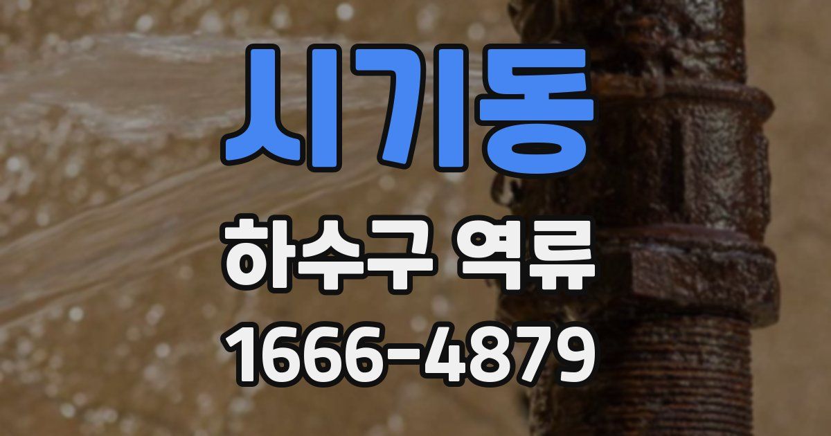 시기동 하수구 역류