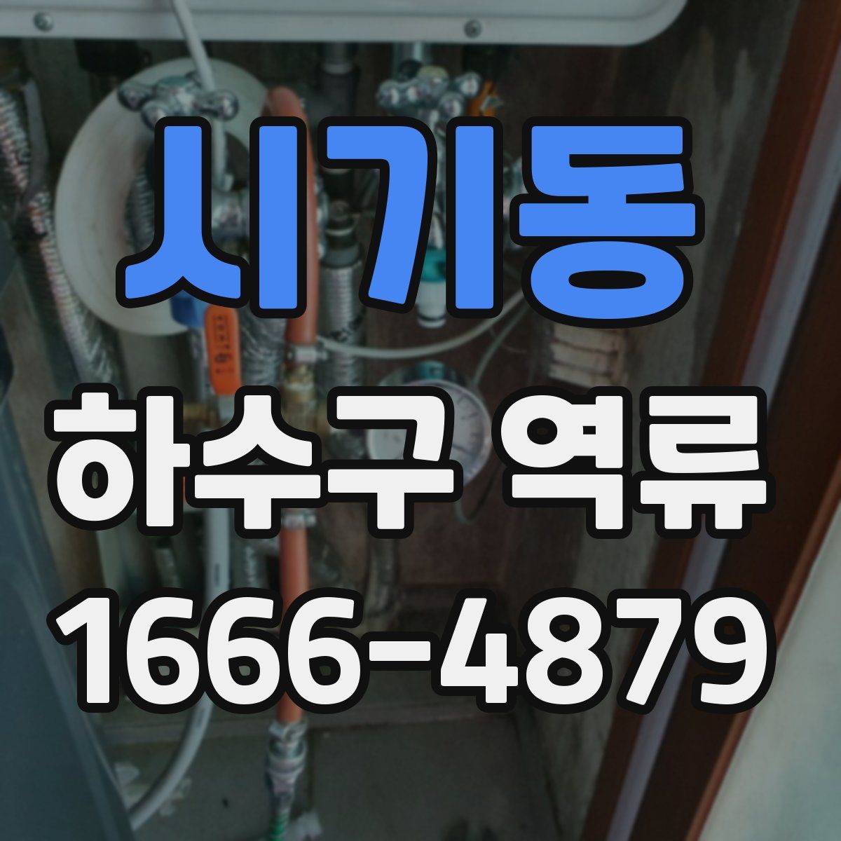 시기동 하수구 역류