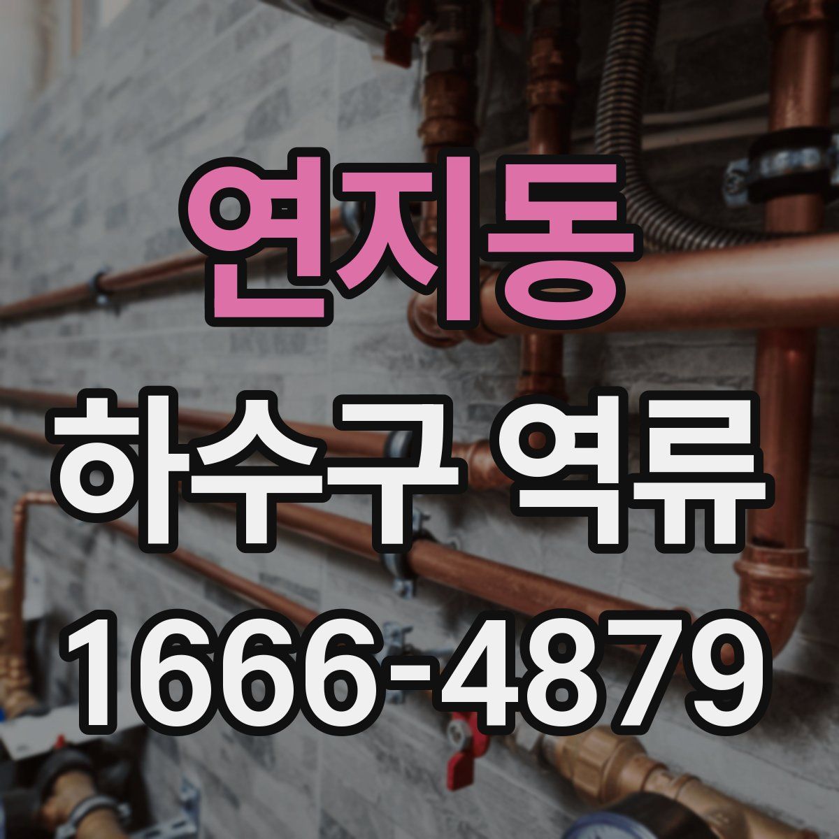 연지동 하수구 역류