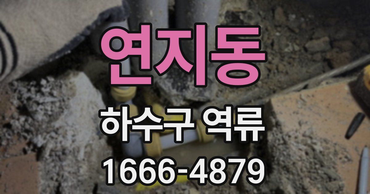 연지동 하수구 역류