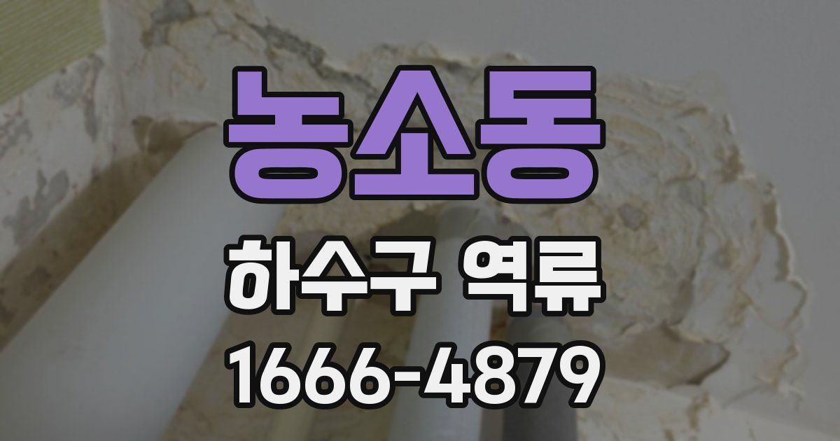 농소동 하수구 역류