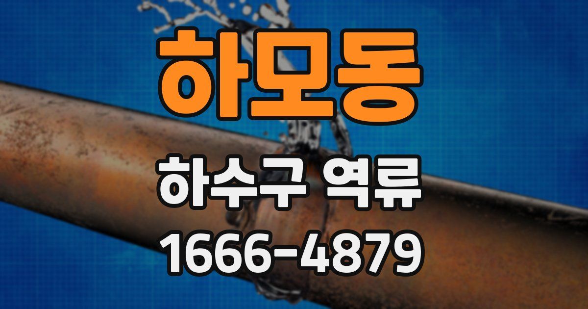 하모동 하수구 역류