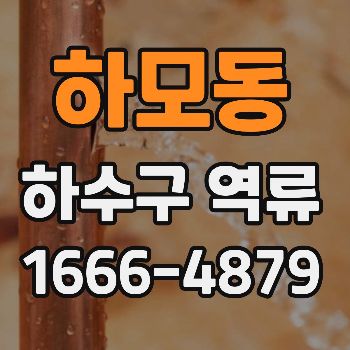 하모동 하수구 역류