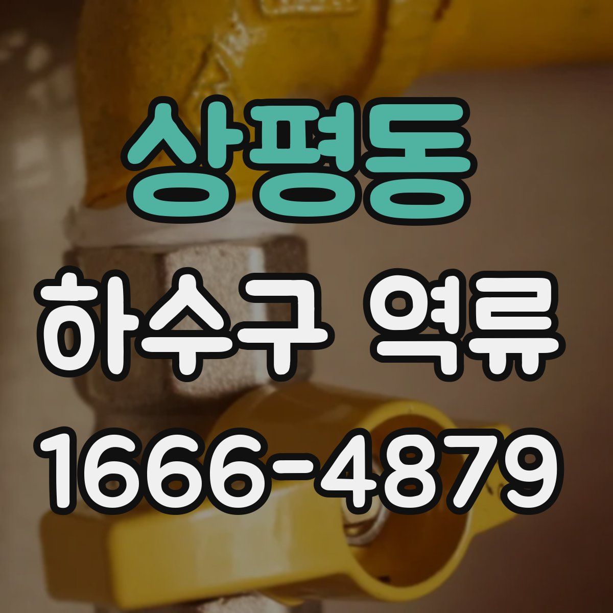 상평동 하수구 역류