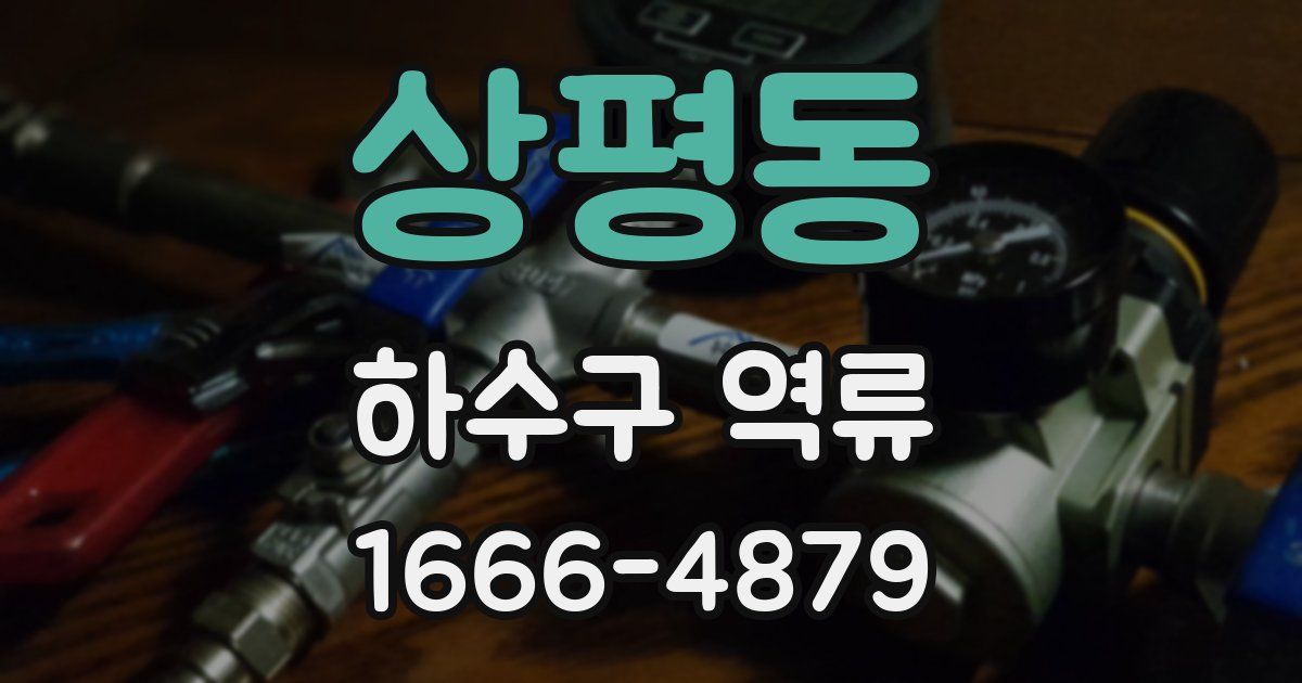 상평동 하수구 역류