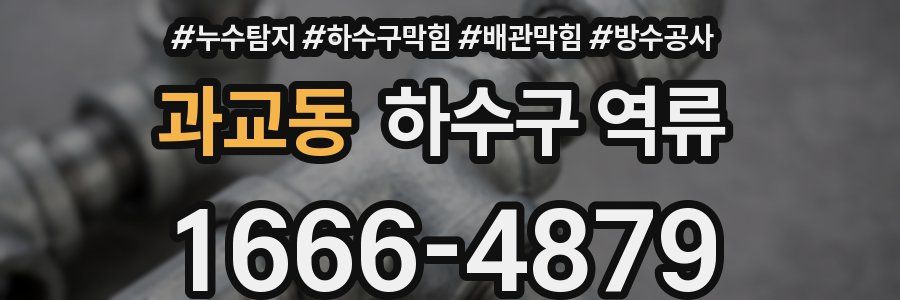 과교동 하수구 역류