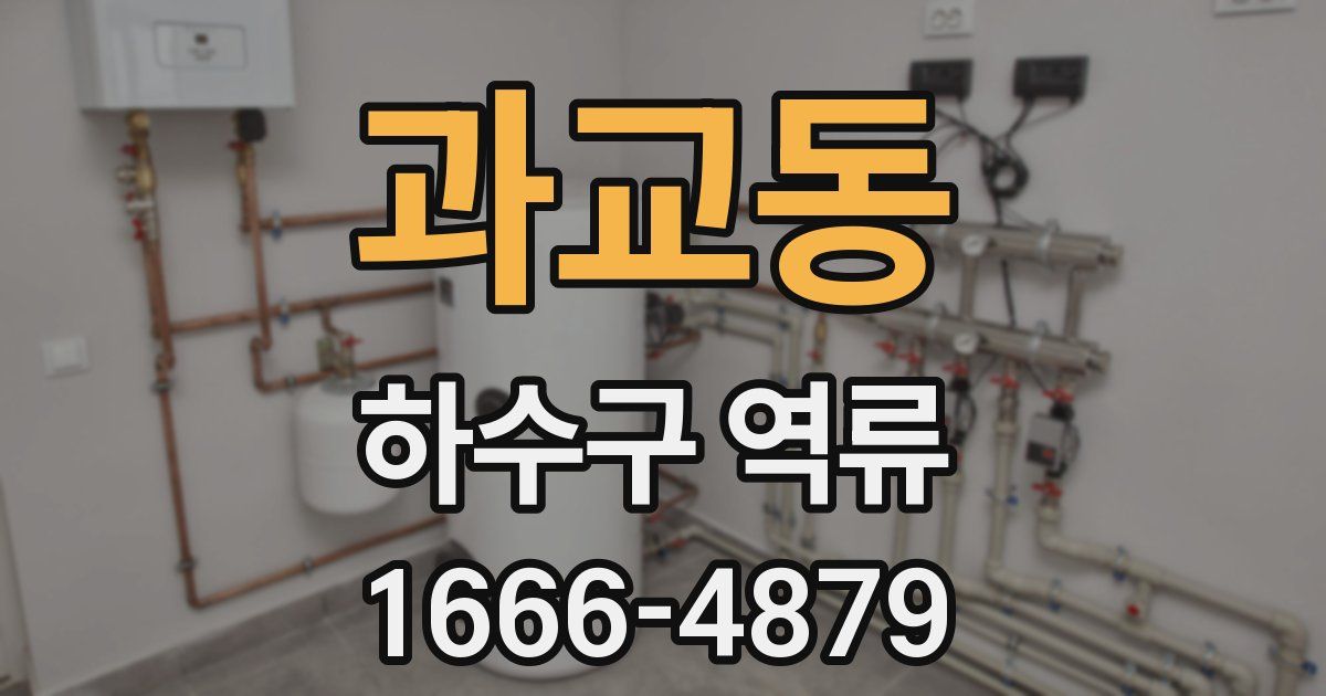 과교동 하수구 역류