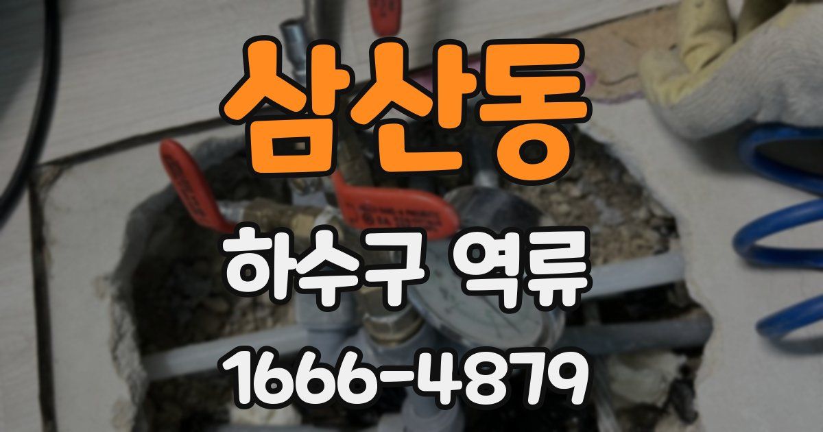 삼산동 하수구 역류
