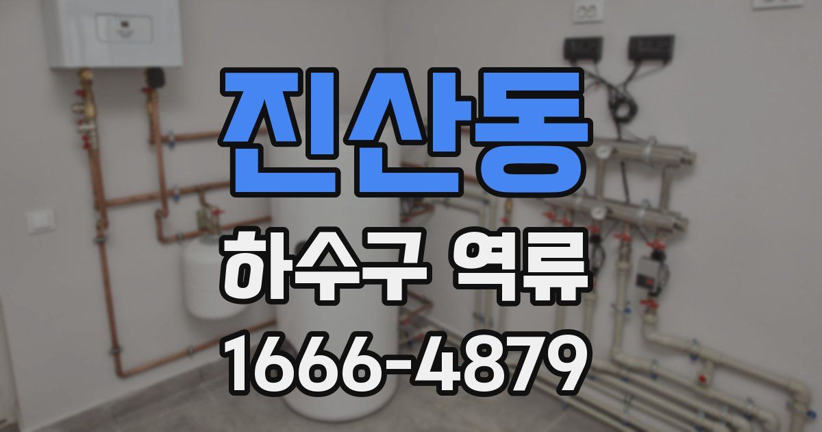 진산동 하수구 역류