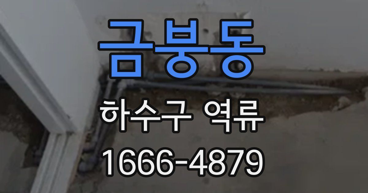 금붕동 하수구 역류