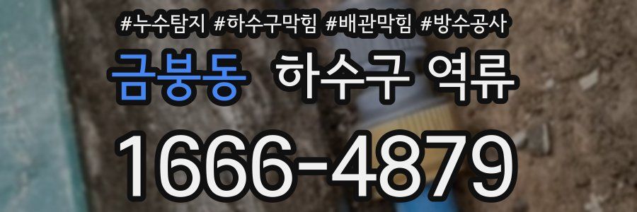 금붕동 하수구 역류