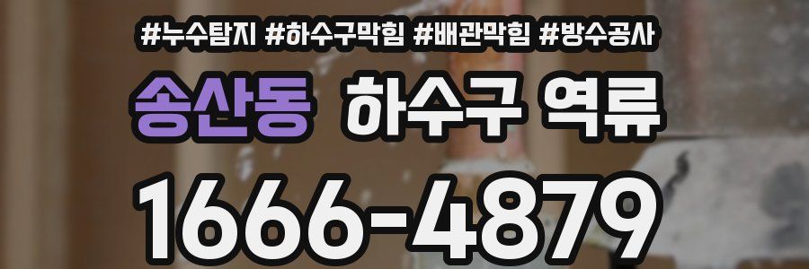 송산동 하수구 역류