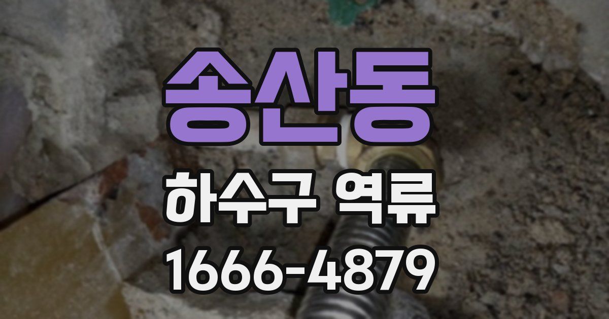 송산동 하수구 역류