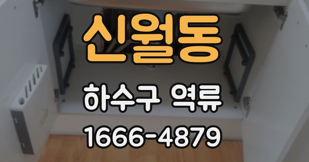 신월동 하수구 역류