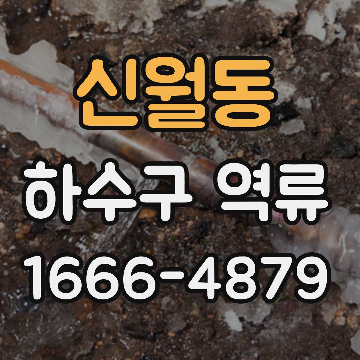 신월동 하수구 역류