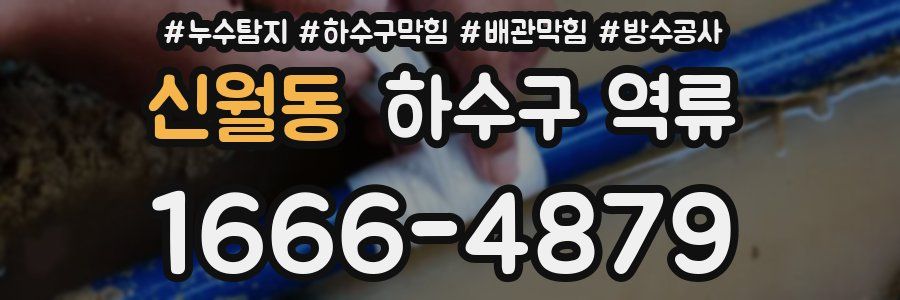 신월동 하수구 역류