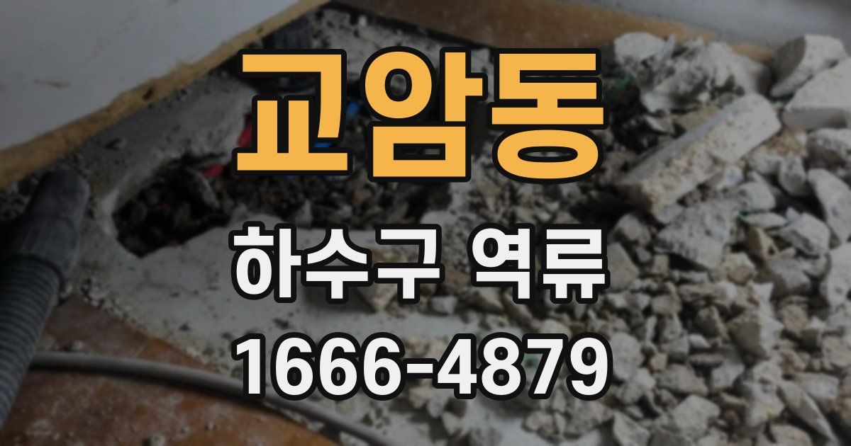 교암동 하수구 역류
