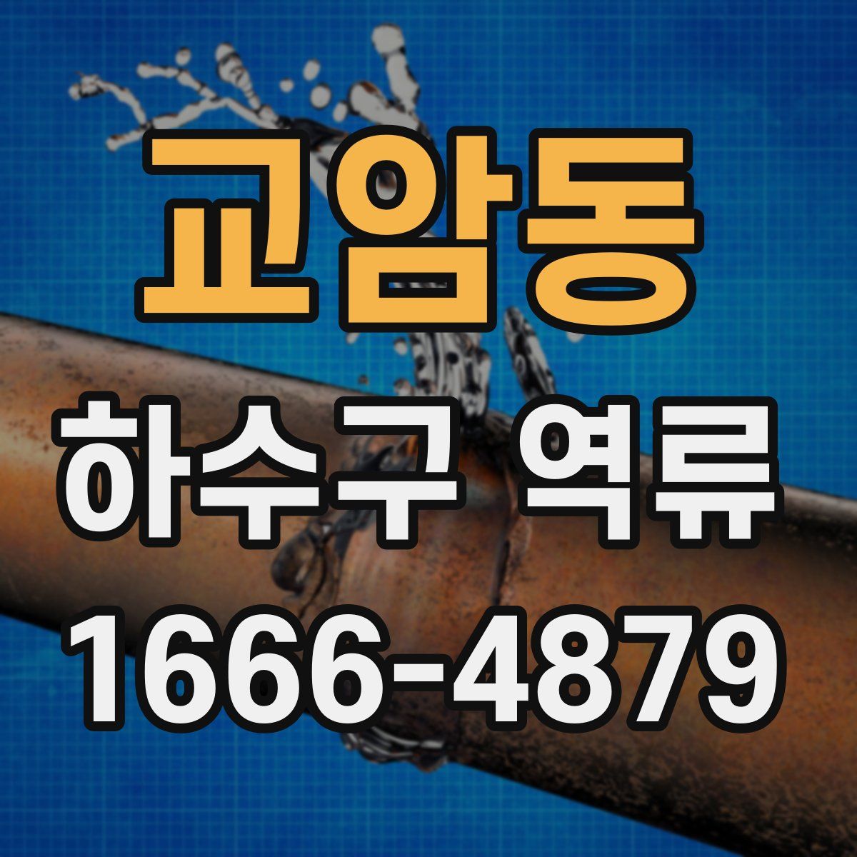 교암동 하수구 역류