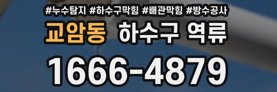 교암동 하수구 역류