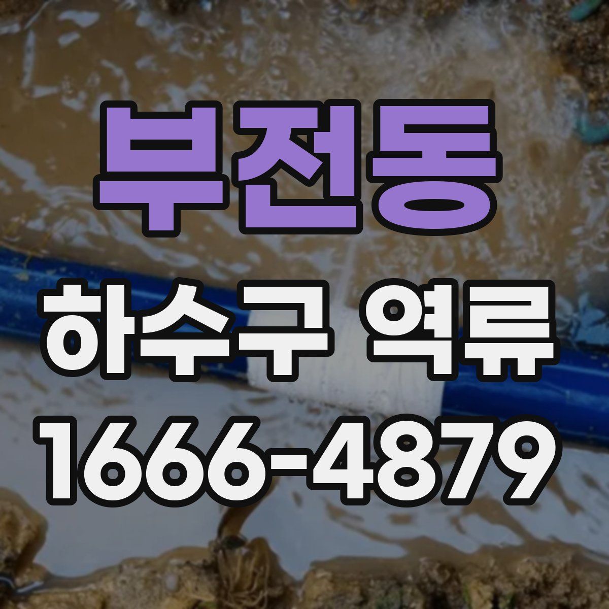 부전동 하수구 역류
